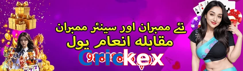 Crickex interface sample